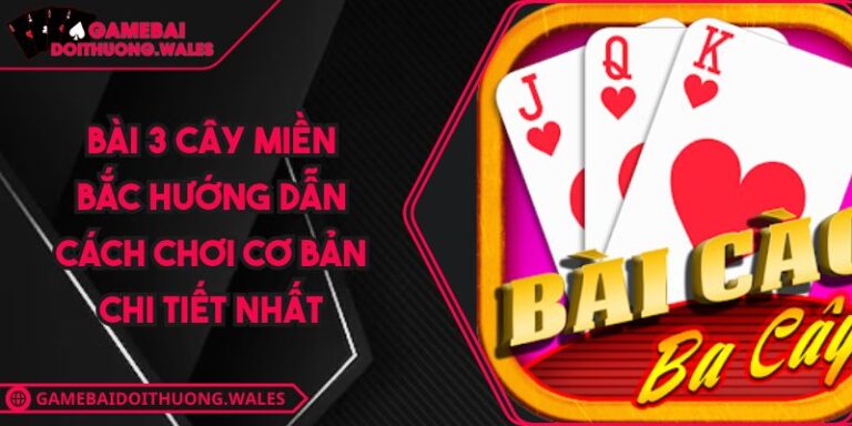 Bài 3 cây miền Bắc