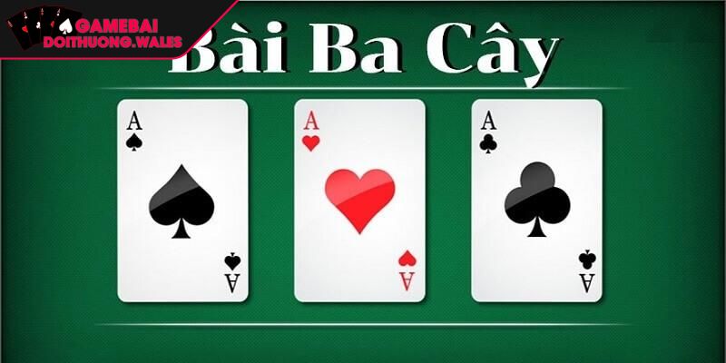 Bài 3 Cây Miền Bắc Hướng Dẫn Cách Chơi Cơ Bản Chi Tiết Nhất 1 Khái quát thông tin về bài 3 cây miền Bắc