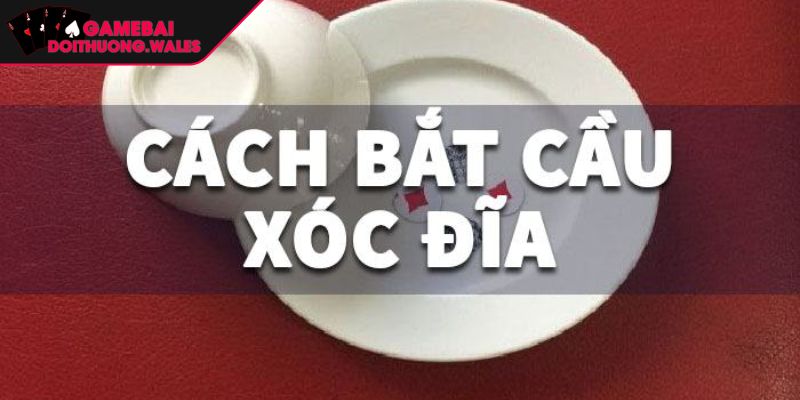 Cách Soi Cầu Xóc Đĩa Hướng Dẫn Chi Tiết Từ Chuyên Gia 1 Khái niệm về cách soi cầu xóc đĩa và tầm quan trọng
