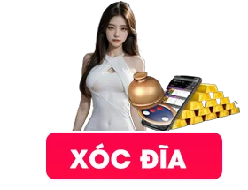 hinh xoc dia