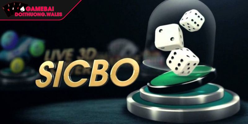 Tài Xỉu Sicbo Khám Phá Luật Chơi Và Chiến Lược Thắng Lớn 2 Thuật ngữ cần biết trong thế giới tài xỉu