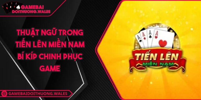 thuật ngữ trong tiến lên miền nam