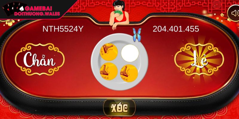 Xóc Đĩa Online Hướng Dẫn Chi Tiết & Chiến Thuật Thắng Lớn 2 Các cửa cược cơ bản